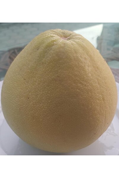 ANAMURMEYVECİM Pomelo-Şadok Meyvesi (600-1000gr arası)