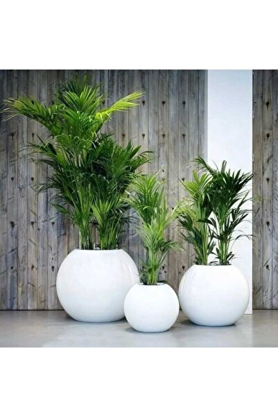 KastaSaksı küre saksı