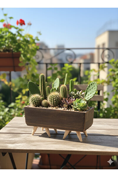 Alba Home Decor Ahşap Ayaklı Dekoratif Beton sukukent kaktüs saksı