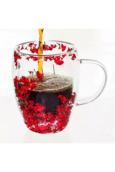 Next Trend Borosilicate double-wall glass mug 350 ml with dried red flowers
