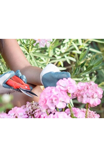 Epilons مقصات الكرم - مقصات تقليم فرع شجرة الحديقة