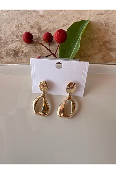 ELENOR Kadın Şık Çelik Küpe