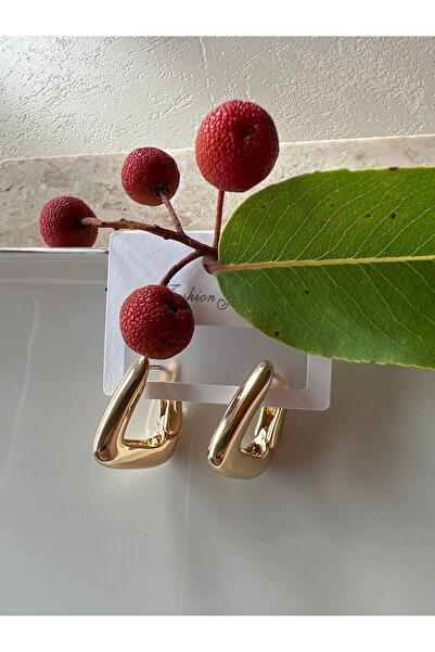 ELENOR Kadın U Çelik Şık Küpe