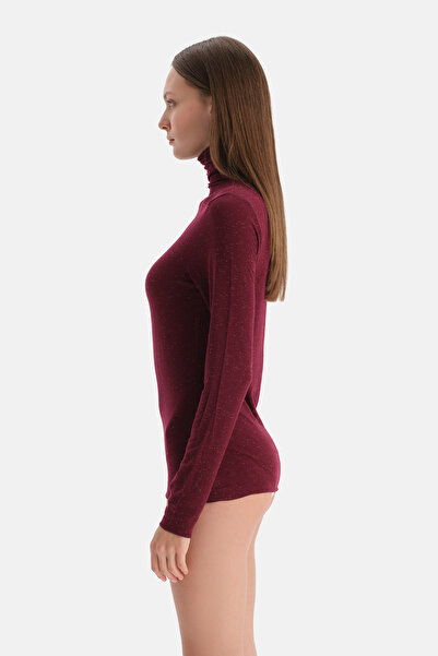 Dagi Burgundy Lureks Modal Cashmere High Neck Long Sleeve Top