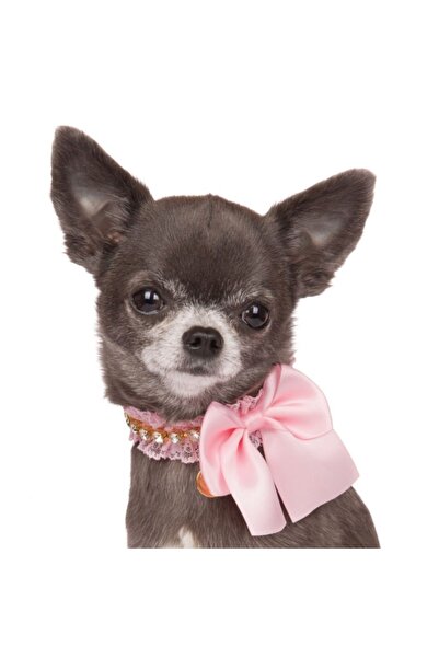 Charlotte's Dress Vania Collar - 25 cm - Baby Rose