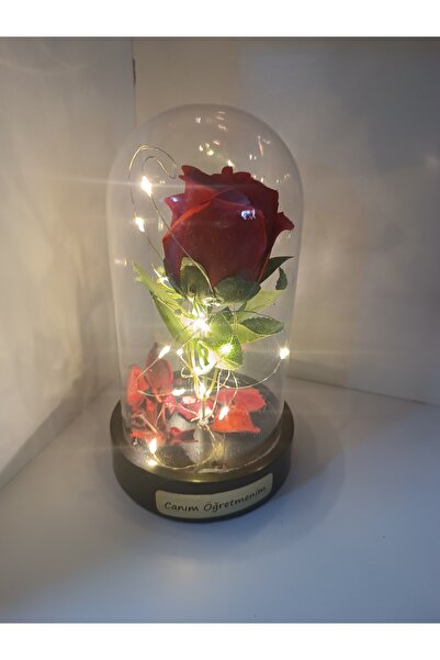 Defne Canım öğretmenim fanus öğretmenler günü Hediyelik