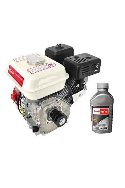 DDT Motor profesional pe benzină de 7,5 CP, în 4 timpi, 200 cmc, rezervor de ...