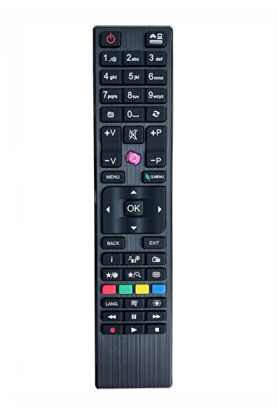 OEM Vestel RC4876 TV remote control with original appearance code ER1433 /MFY1423 (488)