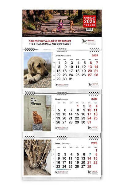 Haytap 2026 Spiralli Duvar Takvimi
