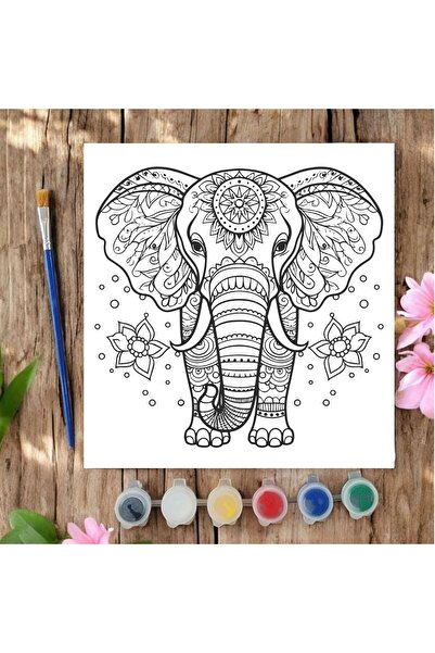 CHVE DESIGN 20x20 Tuval Boyama Seti Çocuklar İçin Etkinlik Fil Mandala Tuval Boyama Seti