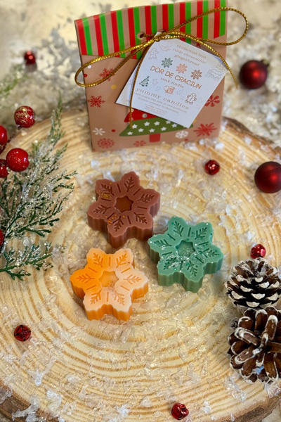 Yummy Candles Parfum de camera Christmas Wax Melts, 48g, handmade, ceara naturala,
