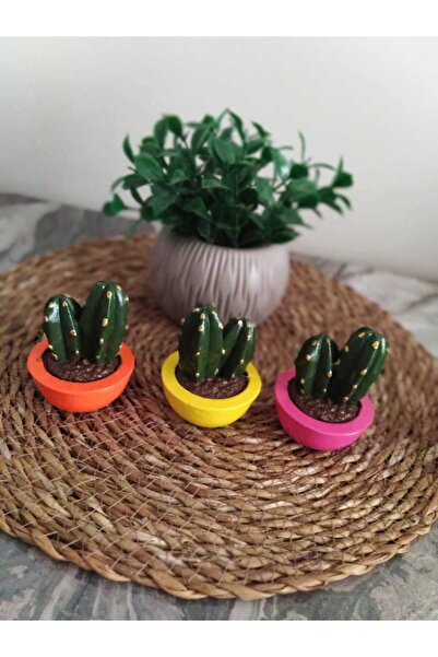 moonligtdecor dekor süs eşyası kaktüs üçlü set