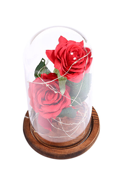 HALAMODO Rose Flowers LED String Light Set Brown 27 x 16 x 16cm