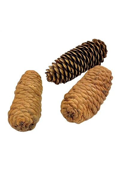 CADO مخاريط صنوبر مجففة طبيعية كبيرة الحجم لعيد الميلاد السعيد لتزيين شجرة ال...