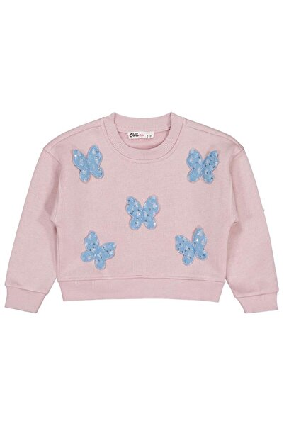 Civil Girls 2-5 Years Old Sweatshirt with Butterfly Accessories - Pink 2-3 Years Old