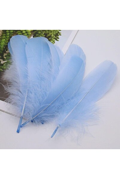 Arabest 100 قطعة من ريش الإوز الطبيعي للزينة - ريش متنوع ملون مقاس 4-7 بوصة للحرف اليدوية