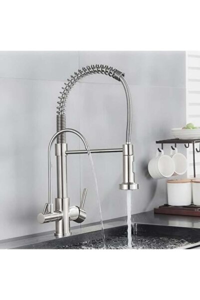 Panery صنبور مطبخ قابل للسحب مع فلتر تنقية، فضي -