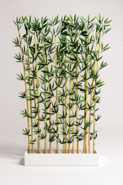 ERHAN FLOWERS 100 cm beyaz mdf saksıda bambu seperatör 160 cm