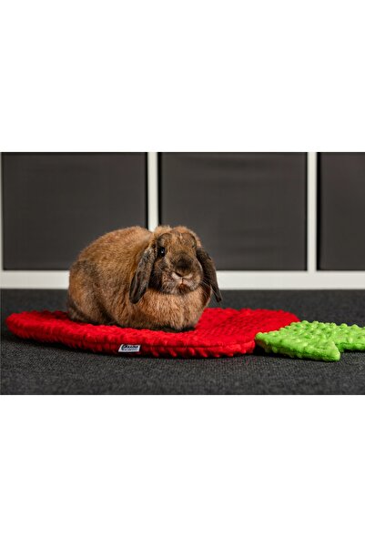 Other Thumper's Land strawberry bed pillow