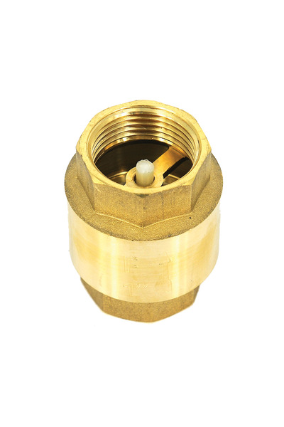 DDT Supapă de sens invers, 1 inch