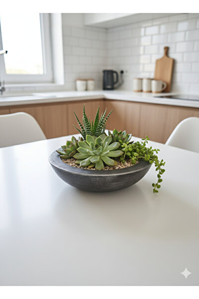 Alba Home Decor Dekoratif sukulent kaktüs arajman saksı