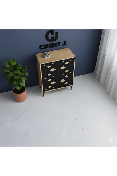 Crestj Multi-purpose shoe cabinet for entryway and hallway with a modern desi...