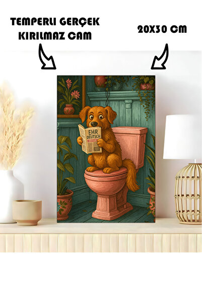 Harika bir ev STOL U KUPATILU STAKLENI STOL PAS KOJI ODRŽAVA TOALET U KUPATIL...