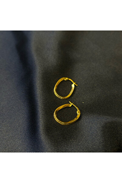 Arpaş 14 Ayar Klasik Taşlı Halka Küpe