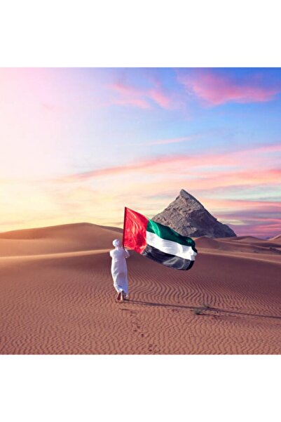 Yuwell YU WELL UAE Flag for National Day Flag Day Celebration, 90cm x 150cm