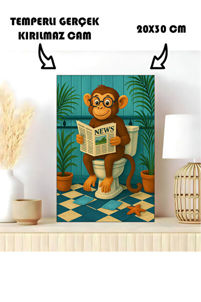 Harika bir ev STOL U KUPATILU STAKLENI STOL MAJMUN KOJI ODRŽAVA TOALET U KUPA...