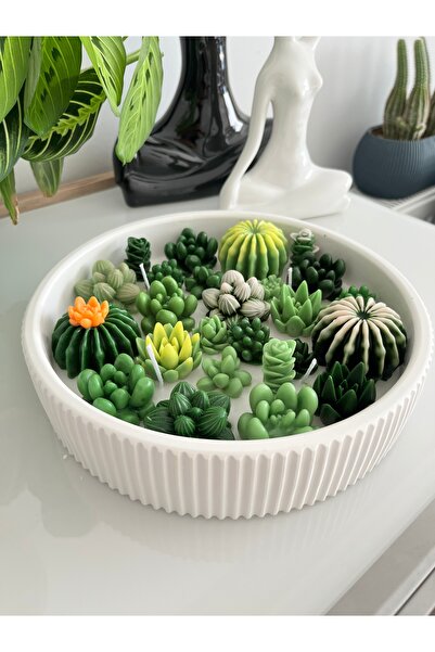 TKC HOME Kaktüs Bahçesi Büyük Dekoratif Mum