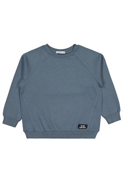 Pierre Cardin Coat of Arms 10-12 Years Old Sweatshirt - Gray 10-11 Years Old