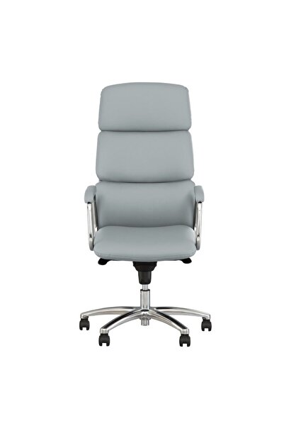Ergonica VEGAS Executive Chair, Gray Leather