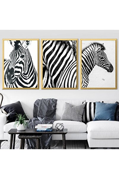Araste Dekorasyon Zebra 1 Üçlü Çerçeve Ve Poster Seti - H1001