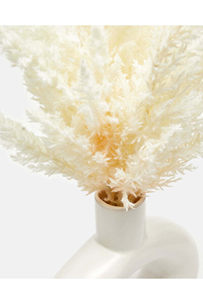 REDTAG White Pampas In Scandi Vase
