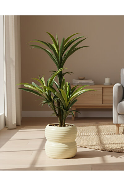 REDTAG نبات اليوكا الاصطناعي في وعاء خزفي