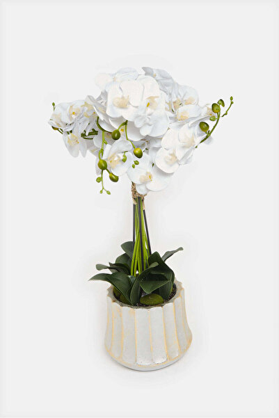 REDTAG White Artificial Orchid Flower In Ceramic Vase