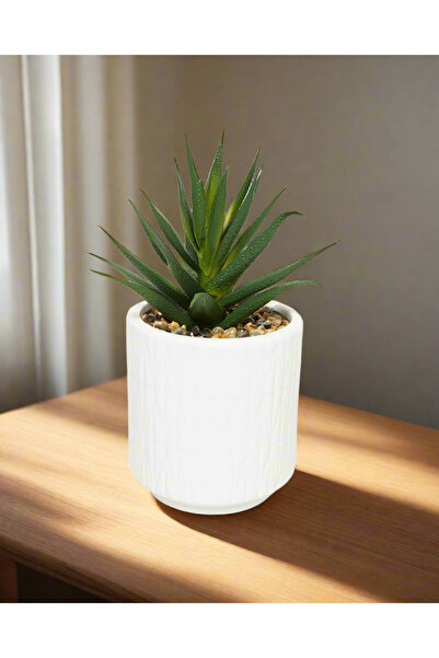 REDTAG Green Artificial Aloe Vera In Ceramic Pot