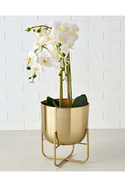 REDTAG وعاء معدني عادي ذهبي مع حامل