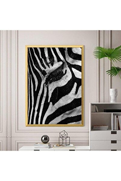 Araste Dekorasyon Zebra 5 Çerçeve Ve Poster - H1051