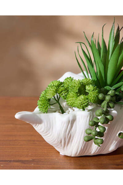 REDTAG White Artificial Succulent In Conch Pot