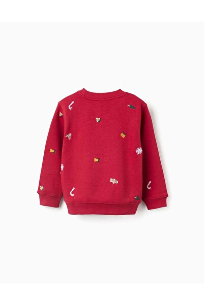 Ziddy Brushed sweatshirt with Christmas embroidery for boys, red