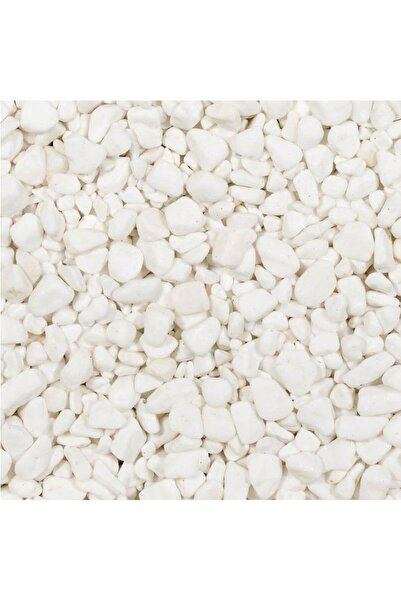 Tunç Botanik MEZAR - KABİR BİTKİ SETİ - 10 ADET YEŞİL TAFLAN GREENSPİRE 25-30 CM + 20 KG DOLOMİT TAŞI