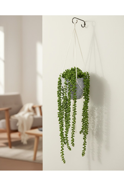 REDTAG String Of Pearls In Hanging Basket