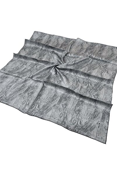 Aker Silver Gray Silk Twill Scarf - 8924713 -971