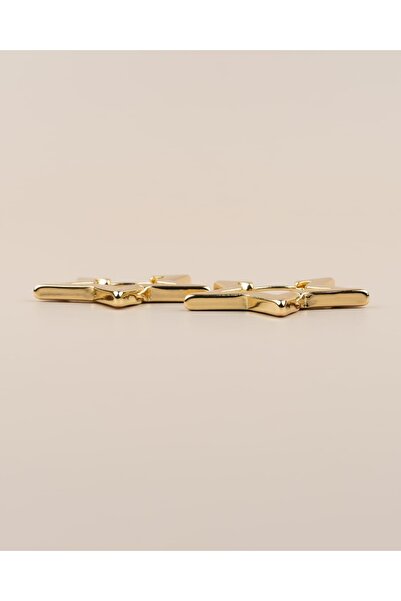 Portakal Esintisi Astryn Star Hoop Steel Earrings