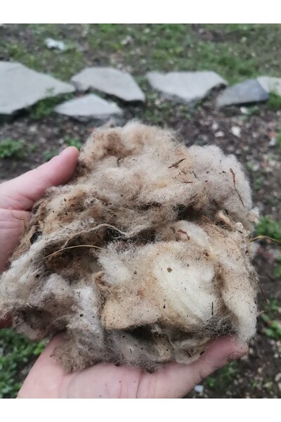 onlyrose Yıkanmamış Saf Koyun Yünü Yapağı 100 gr