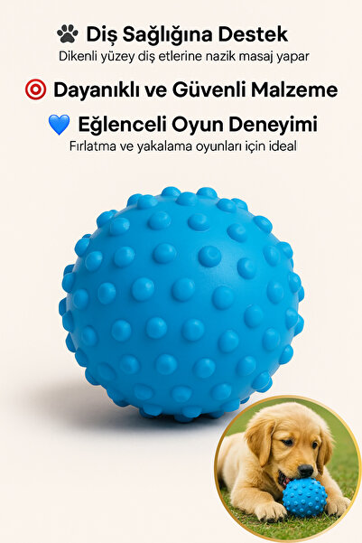 Hane Dostu Köpekler İçin Dikenli Oyun Topu – Dayanıklı Diş Kaşıma Topu