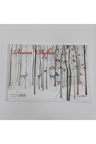 Yıldırım ShopStore Dizayn Çınar 25X35 Spr. Painting Notebook 15 Yp.33000