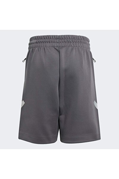 adidas Mercedes - AMG Petronas Formula One Team Silver Arrows Çocuk Şortu